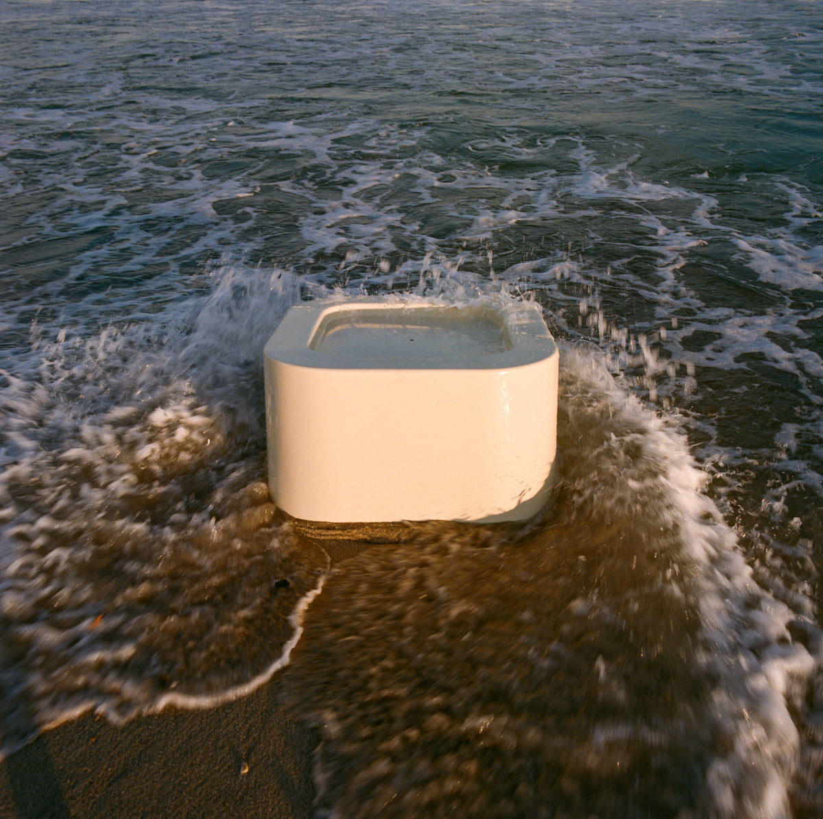 SHOWN IN SAND